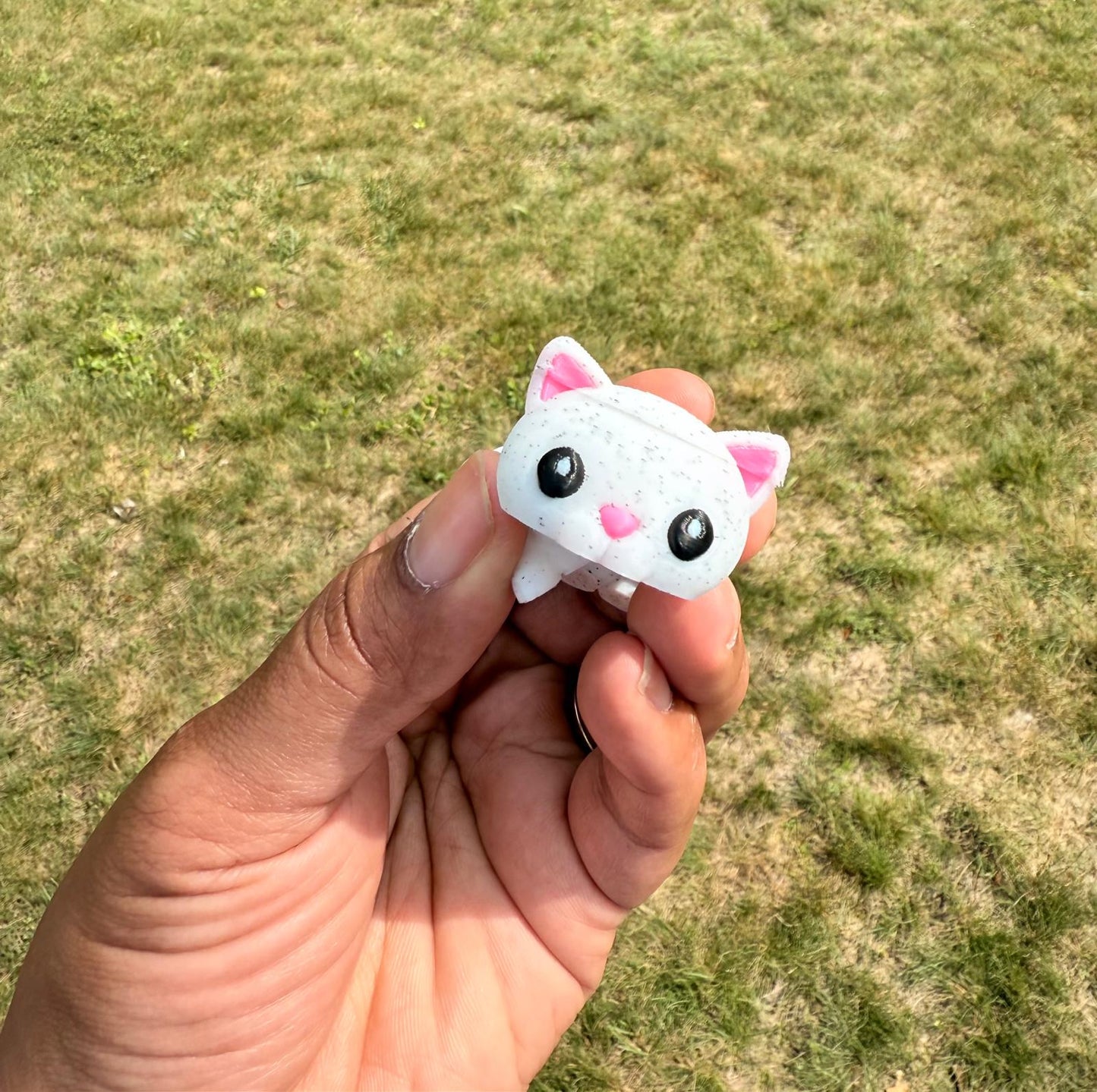 Pocket Pals - Cat