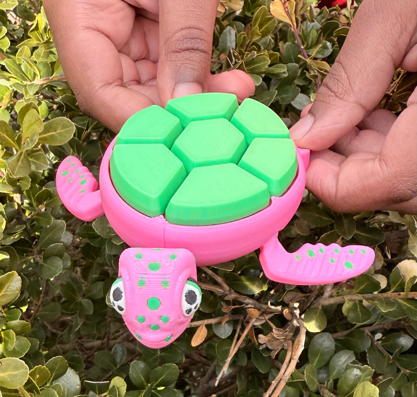 Turtle Clicker