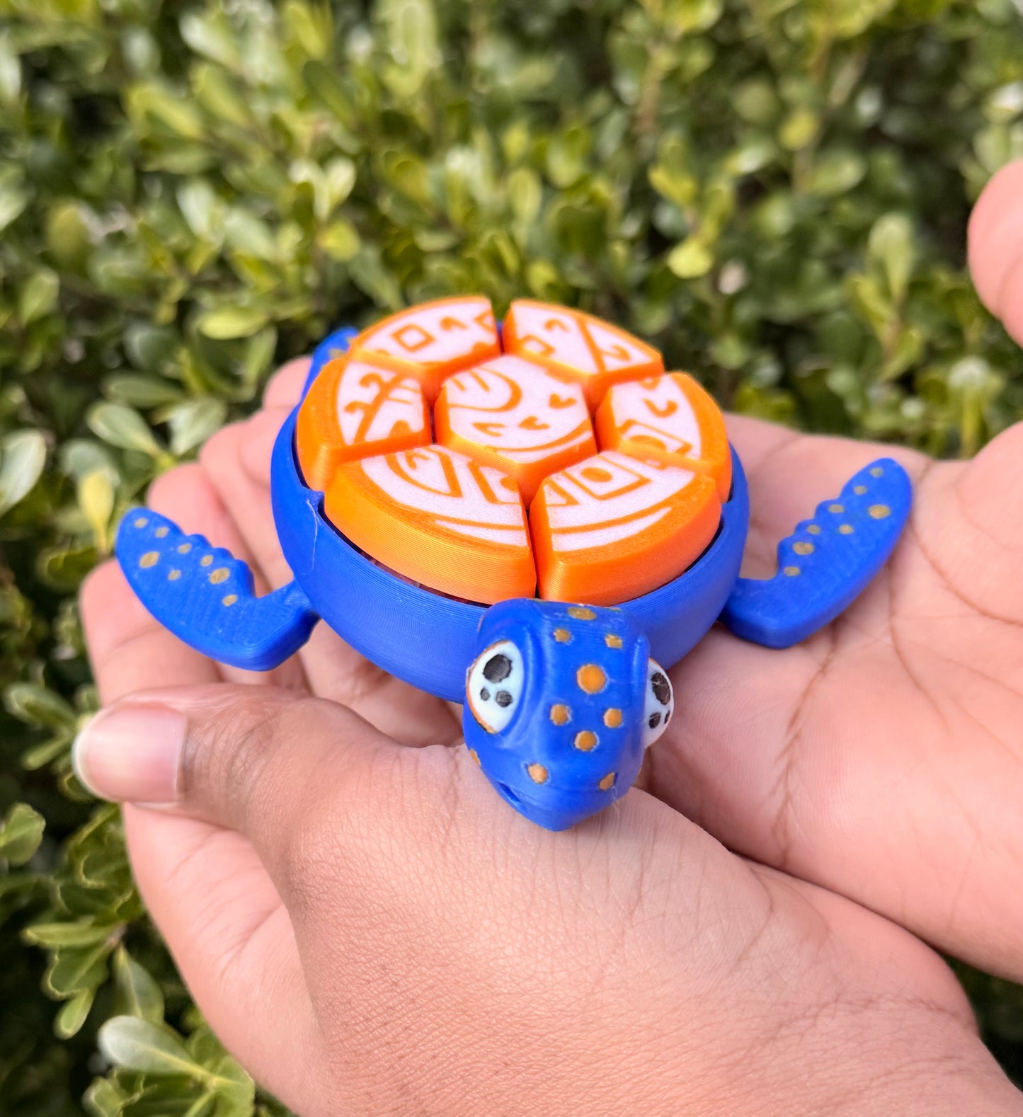 Turtle Clicker