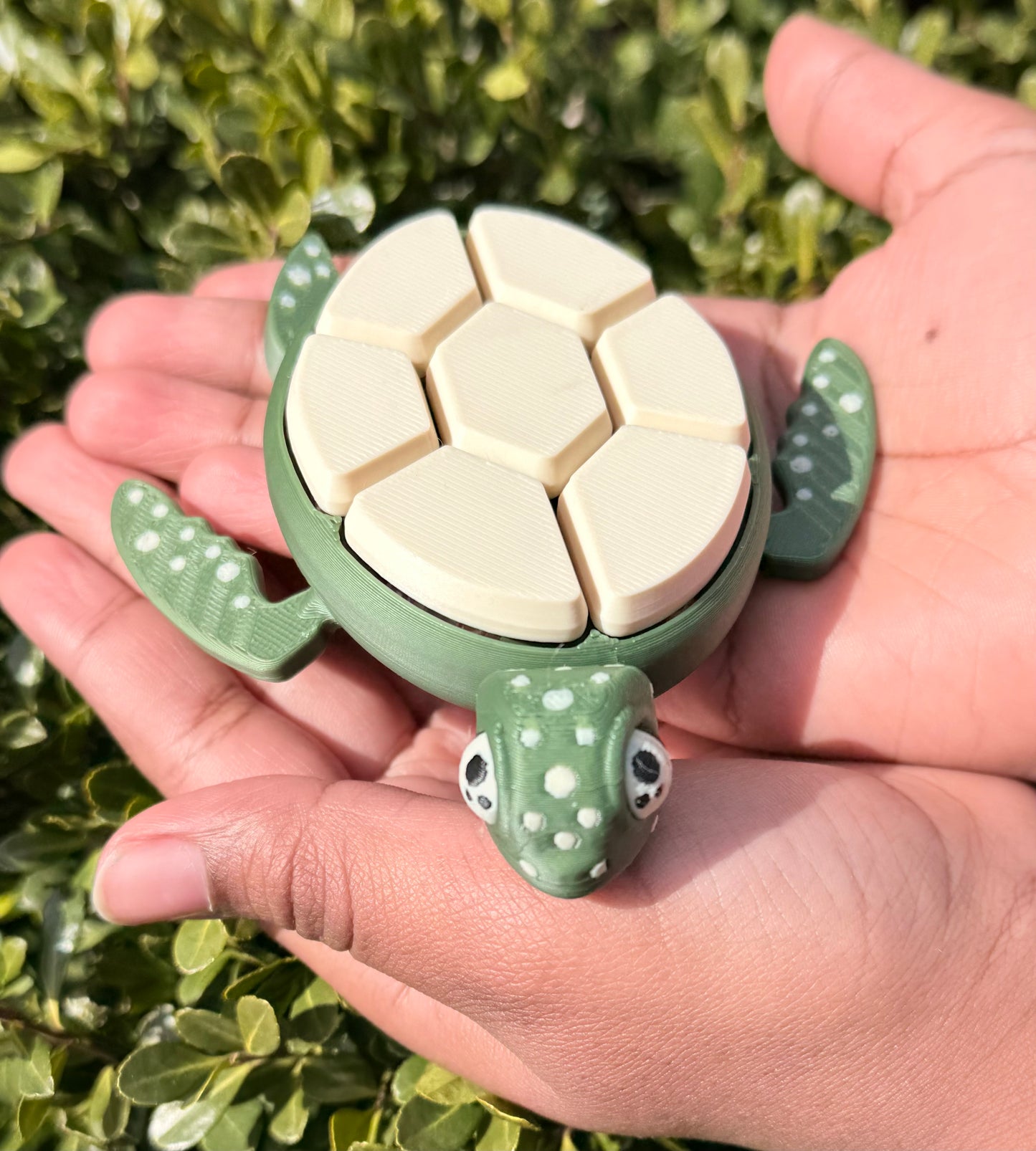 Turtle Clicker