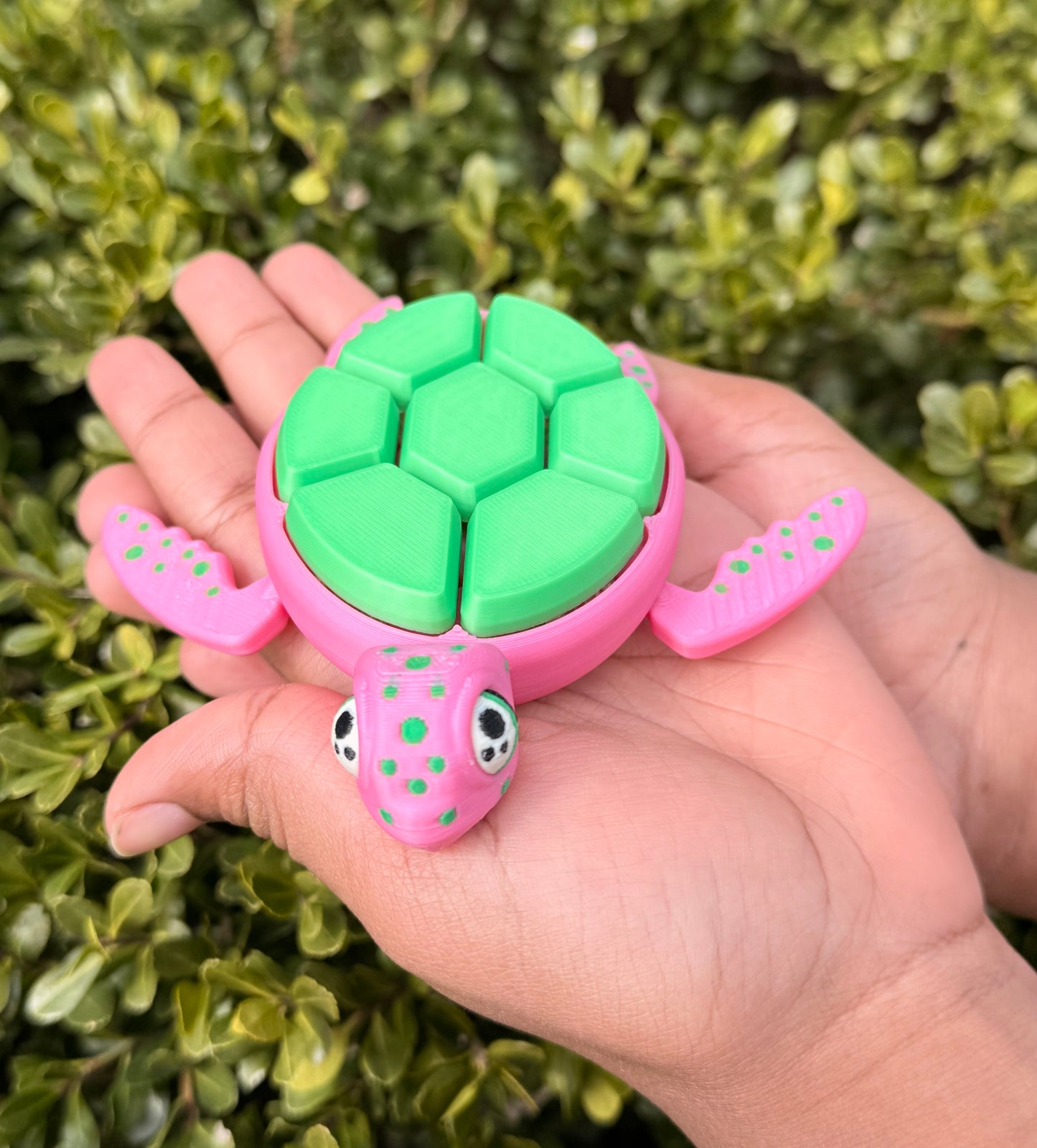 Turtle Clicker