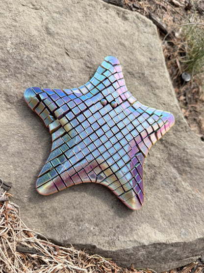 Articulating StarFish